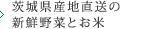 錧Yn̐VN؂Ƃ